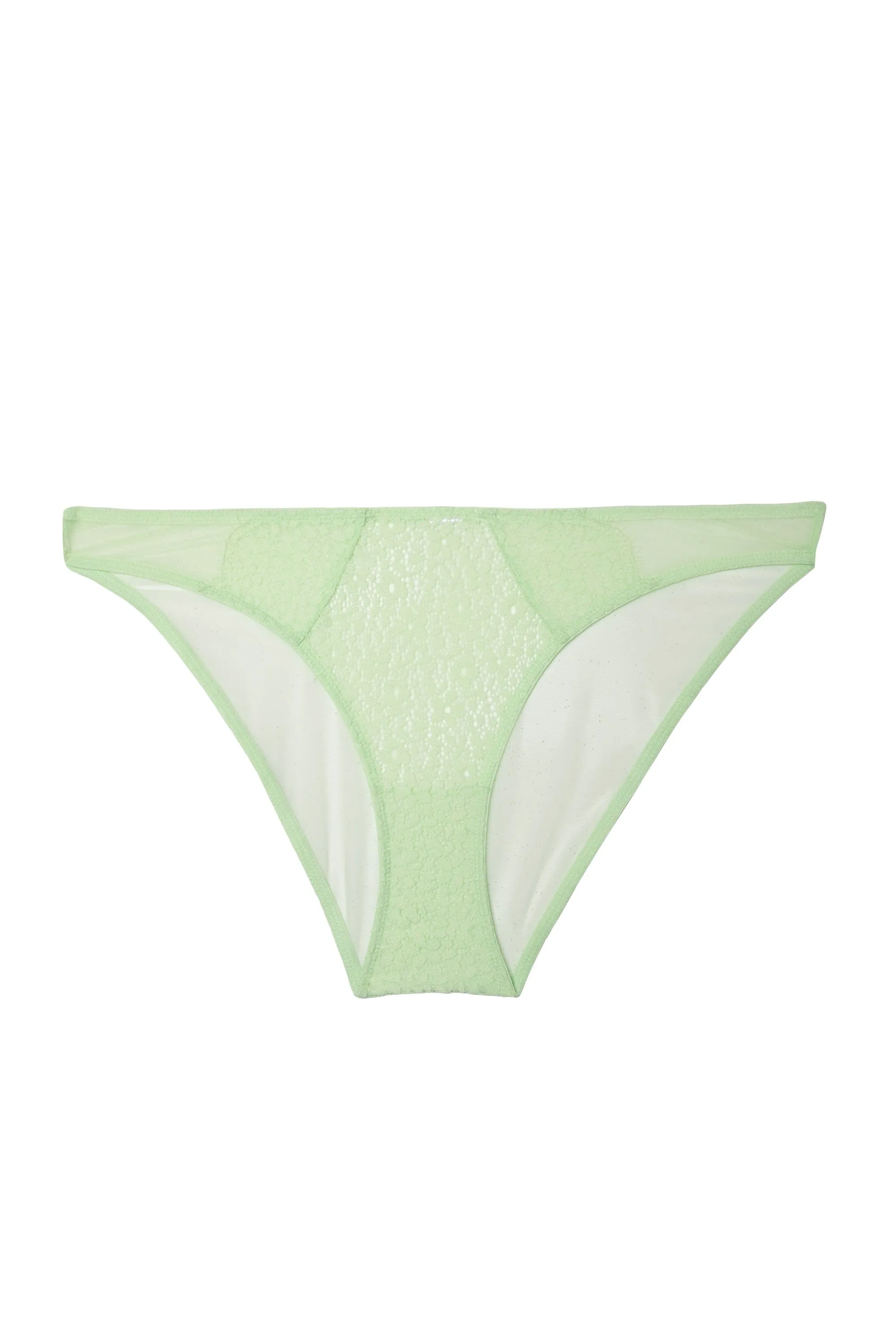 Laura Green Brief
