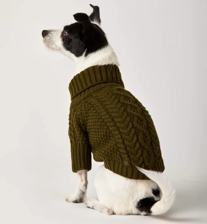 Olive Cable Knit Dog Sweater
