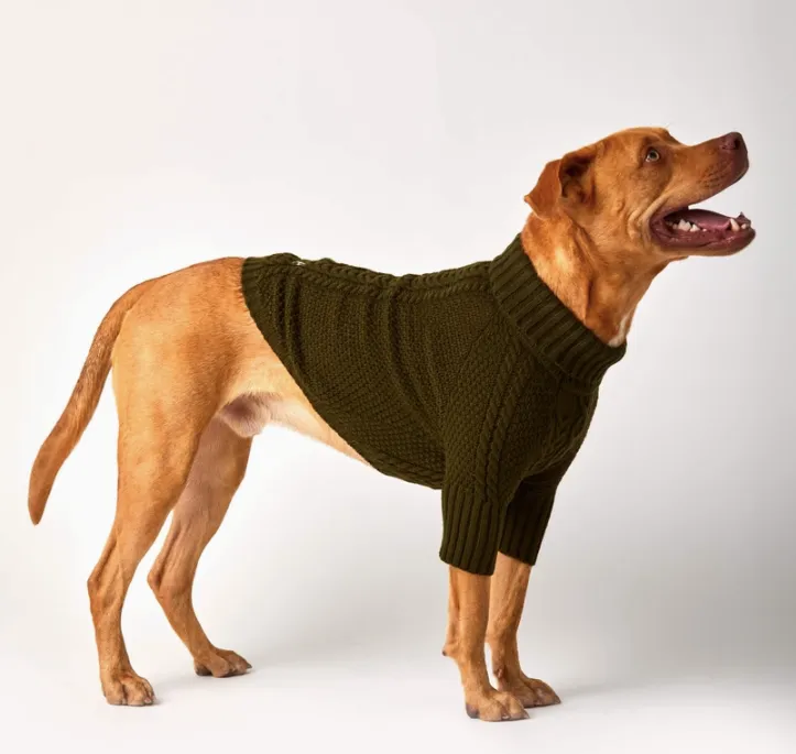 Olive Cable Knit Dog Sweater