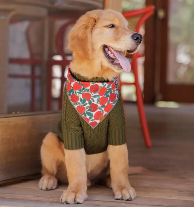 Olive Cable Knit Dog Sweater