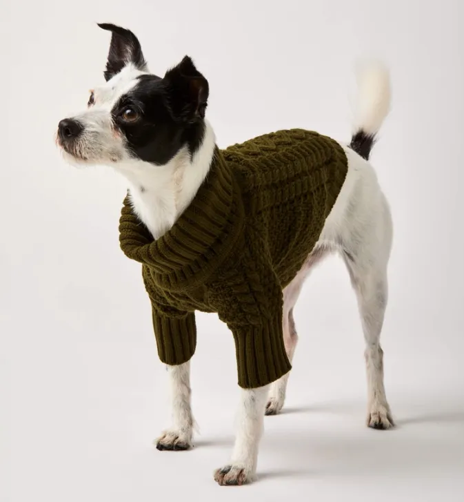 Olive Cable Knit Dog Sweater